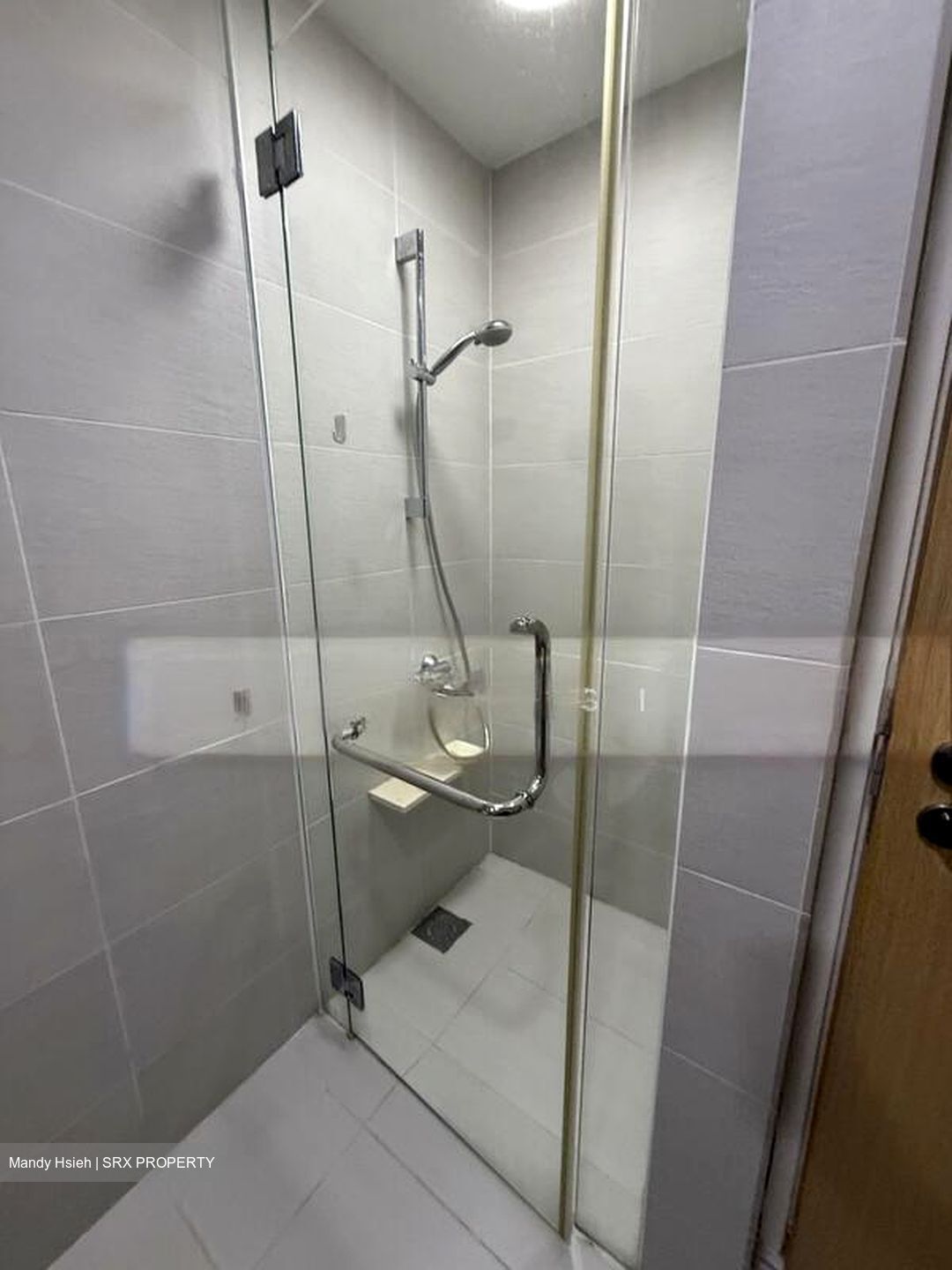 The Lakefront Residences (D22), Condominium #502190901